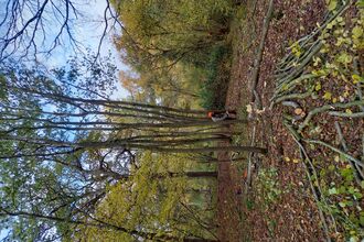 Woman with chainsaw in woodland