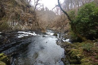 What does finance have to do with biodiversity conservation?