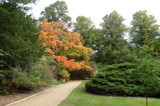 The Scholar's Garden St John's College
