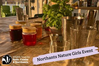 Cocktail elements with text