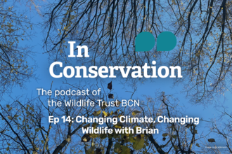 In Conservation, the podcast of the Wildlife Trust for Beds, Cambs and Northants episode 14