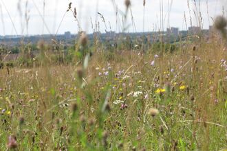 galley and warden hill
