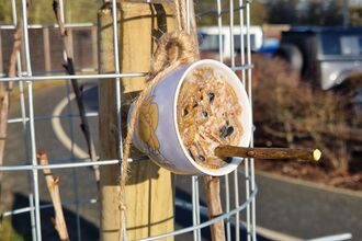 Mug bird feeder