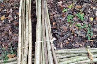 A pile of hedging stakes bundles together
