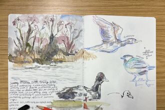 An open sketchbook with water colour paintings of a landscape, and some coloured pencil birds