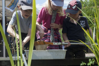 Children pond dipping by Amy Lewis