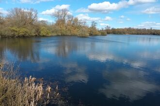 Delta Pit, Rushden Lakes