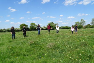 Seven youth rangers standing in a field on a sunny day counting orchids,