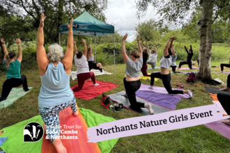 Group of women doing yoga in nature