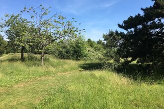 Park Wood Nature Reserve
