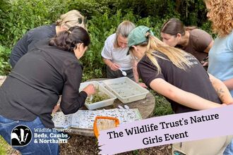 nature girls pond dipping