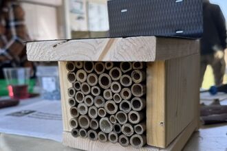 Bee box
