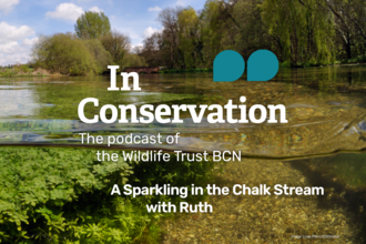 In Conservation, the podcast of the Wildlife Trust BCN. A Sparkling in the Chalk Stream with Ruth.