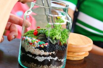 jar terrarium