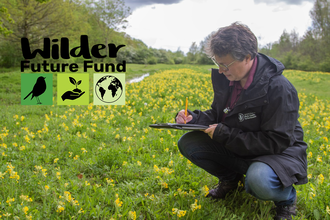 Lucy Wilson monitoring wildflowers