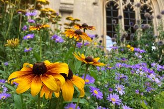 St John's College Cambridge Gardens