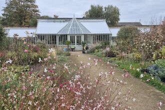 Plants alongside a path leading up to a greenhouse/conservatory at Ramsey Walled Garden.
