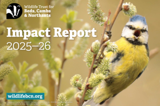 Impact Report cover 2025-26