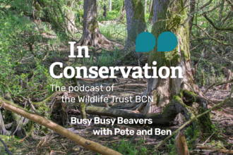 In Conservation S2E4, Busy Busy Beavers with Pete and Ben
