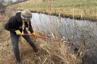 Trainee Katie using a longsaw to chop a tree in a ditch