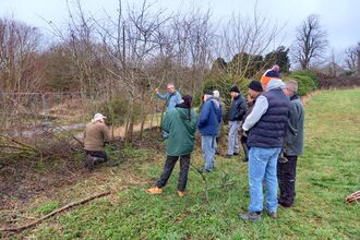 Hedgelaying
