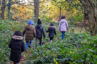A group of children walk through a woodland trail