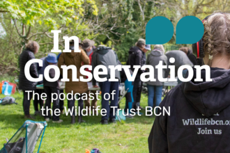 In Conservation - The podcast of the Wildlife Trust BCN