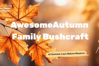 autumn leaves with text