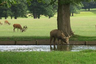 Woburn Park
