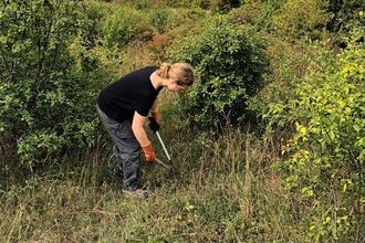 A trainee using loppers to cut back scrub, facing away from the camera
