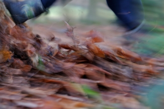 orienteering