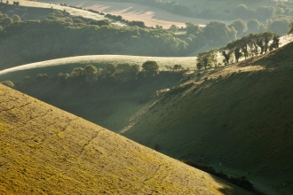 A view across the rolling hills of the South Downs.