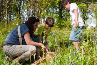 Image of family in a woodland