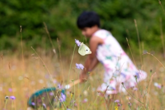 A child with a sweep net out of focus in the background of a butterfly