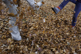 Exploring autumn leaves