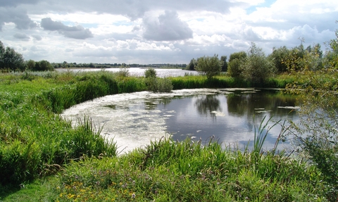 Summer Leys Nature Reserve