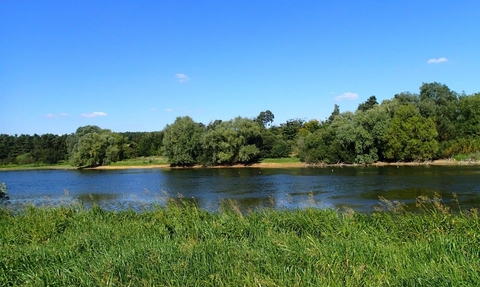 A view of Pitsford Water in the summer