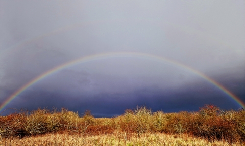 Rainbow over Strawberry Hill