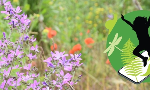 A graphic depicting a silhouette jumping out of a phone into nature, overlaid on a wildflower meadow