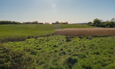 Pulloxhill Marsh landscape