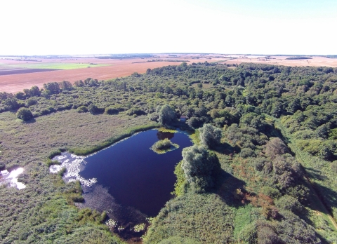 Great Fen  Wildlife Trust for Beds, Cambs & Northants