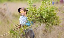 Local school children cut and collect growing tree saplings.