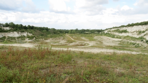 Cherry Hinton Chalk Pits - Jenny Clark