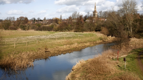 Kingsthorpe Meadow