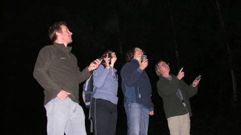 Volunteers with bat monitors