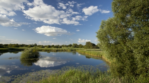 Woodwalton Fen in Cambridgeshire was the first nature reserve of the Wildlife Trusts movement - Image: Mark Hamblin/2020VISION