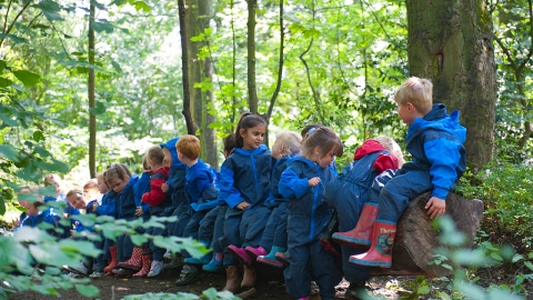 Forest school