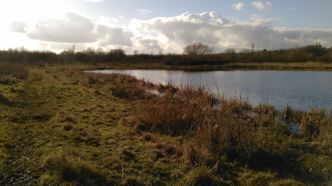 Nene Wetlands - Dragonfly Lake