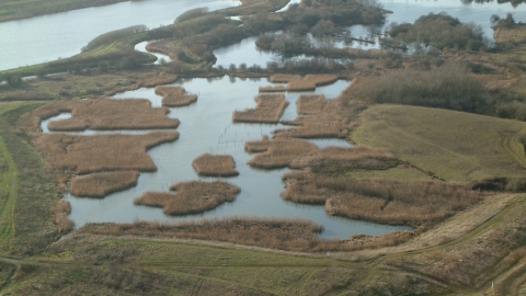 Storton's Pits and Duston Mill Meadow