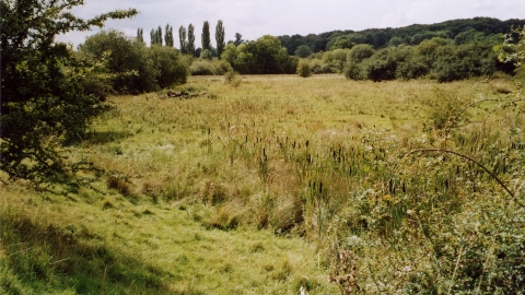 Stoke Bruerne Brick Pits